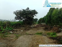 /album/fotogaleria-novedades/img-20150922-114033-jpg1/