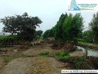 /album/fotogaleria-novedades/img-20150922-114041-jpg1/