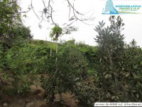 /album/fotogaleria-novedades/img-0875-jpg/