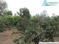 /album/fotogaleria-novedades/img-0876-jpg/