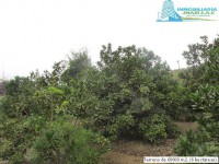 /album/fotogaleria-novedades/img-0877-jpg1/