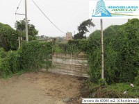 /album/fotogaleria-novedades/img-0878-jpg1/