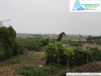 /album/fotogaleria-novedades/img-0879-jpg1/