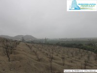 /album/fotogaleria-novedades/img-0883-jpg1/