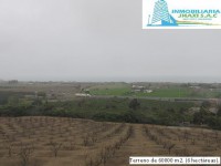 /album/fotogaleria-novedades/img-0886-jpg/