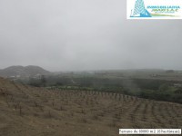 /album/fotogaleria-novedades/img-0889-jpg/