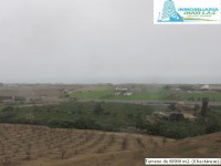 /album/fotogaleria-novedades/img-0890-jpg1/