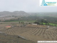 /album/fotogaleria-novedades/img-0893-jpg/