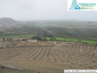 /album/fotogaleria-novedades/img-0894-jpg1/